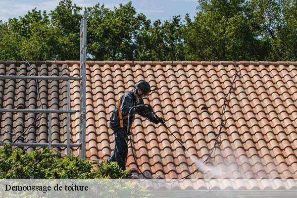 Demoussage de toiture 91 Essonne MC Couvreur 91