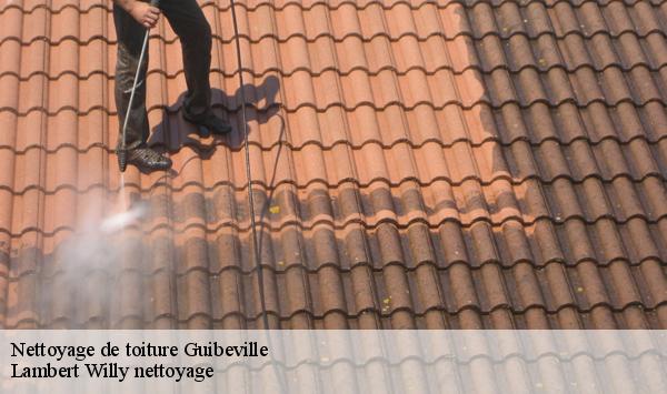 Nettoyage de toiture  guibeville-91630 Lambert Willy nettoyage
