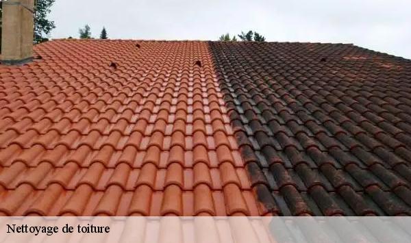 Nettoyage de toiture  oncy-sur-ecole-91490 Lambert Willy nettoyage