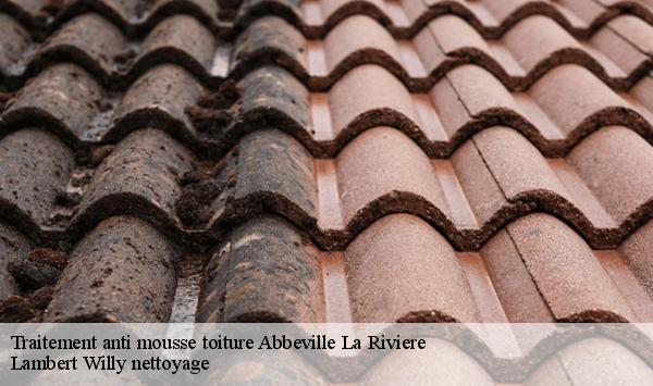 Traitement anti mousse toiture  abbeville-la-riviere-91150 Lambert Willy nettoyage