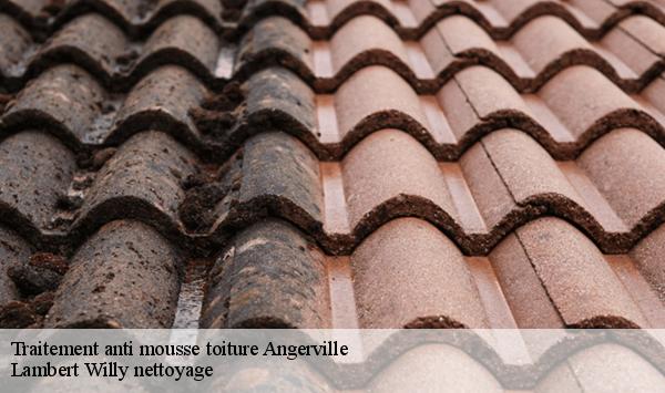 Traitement anti mousse toiture  angerville-91670 Lambert Willy nettoyage