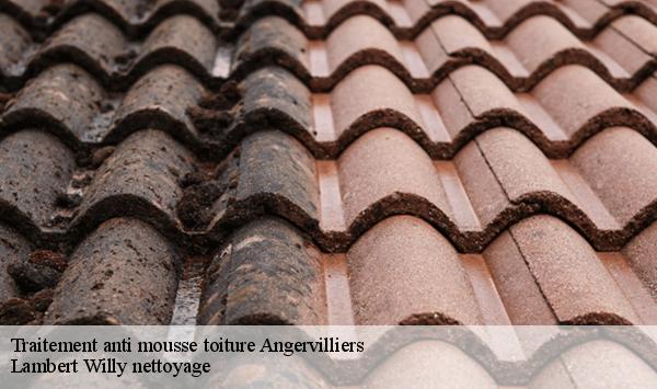 Traitement anti mousse toiture  angervilliers-91470 Lambert Willy nettoyage