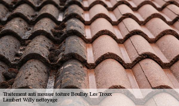 Traitement anti mousse toiture  boullay-les-troux-91470 Lambert Willy nettoyage