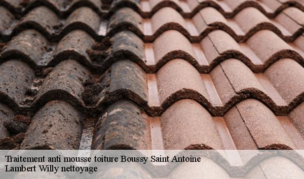 Traitement anti mousse toiture  boussy-saint-antoine-91800 Lambert Willy nettoyage