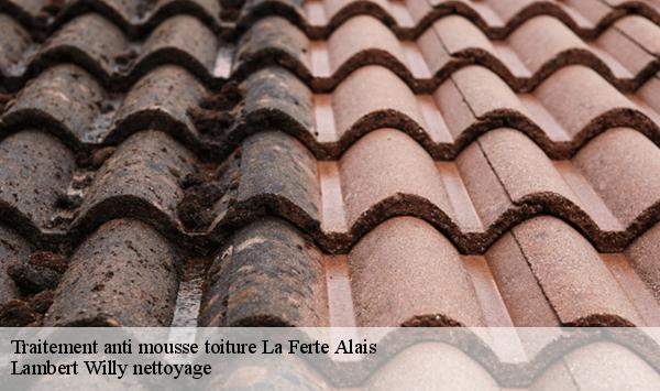 Traitement anti mousse toiture  la-ferte-alais-91590 Lambert Willy nettoyage