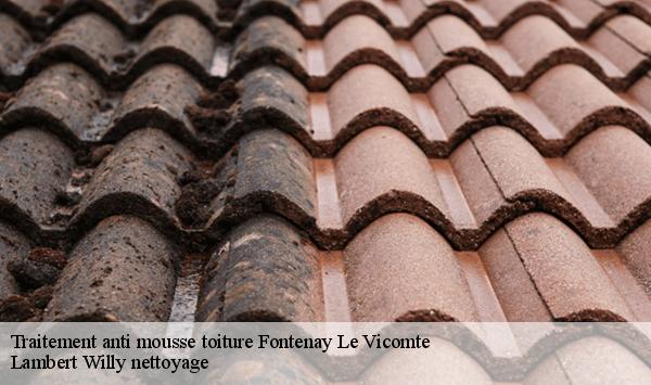 Traitement anti mousse toiture  fontenay-le-vicomte-91540 Lambert Willy nettoyage