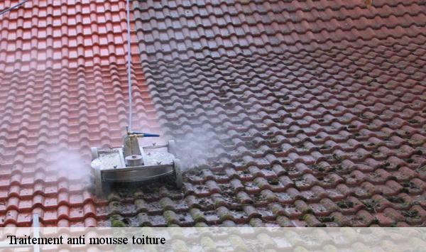 Traitement anti mousse toiture  janville-sur-juine-91510 Lambert Willy nettoyage