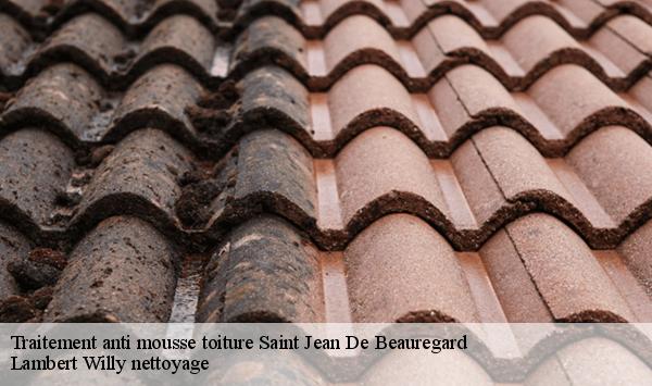 Traitement anti mousse toiture  saint-jean-de-beauregard-91940 Lambert Willy nettoyage