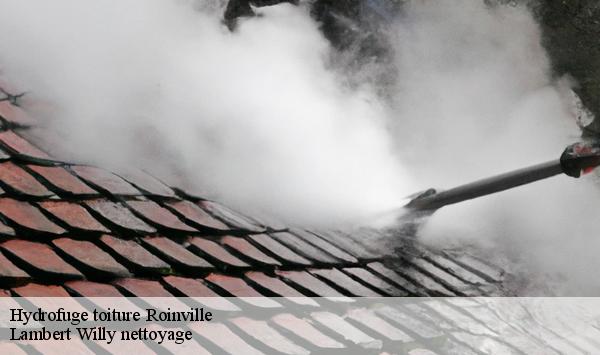Hydrofuge toiture  roinville-91410 Lambert Willy nettoyage