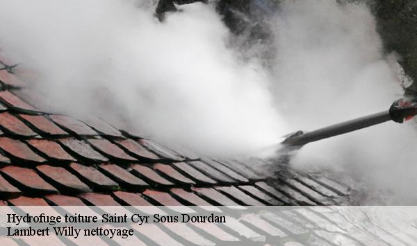 Hydrofuge toiture  saint-cyr-sous-dourdan-91410 Lambert Willy nettoyage