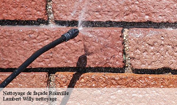 Nettoyage de façade  roinville-91410 Lambert Willy nettoyage