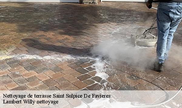 Nettoyage de terrasse  saint-sulpice-de-favieres-91910 Lambert Willy nettoyage