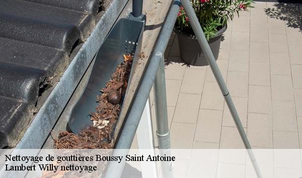 Nettoyage de gouttières  boussy-saint-antoine-91800 Lambert Willy nettoyage