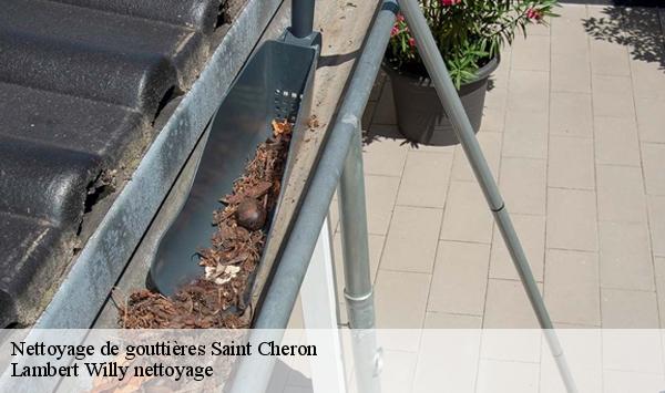 Nettoyage de gouttières  saint-cheron-91530 Lambert Willy nettoyage