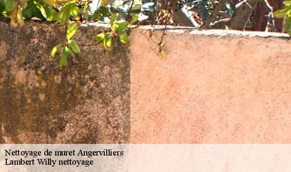 Nettoyage de muret  angervilliers-91470 Lambert Willy nettoyage