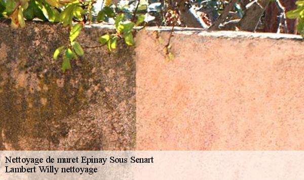 Nettoyage de muret  epinay-sous-senart-91860 Lambert Willy nettoyage