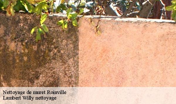 Nettoyage de muret  roinville-91410 Lambert Willy nettoyage