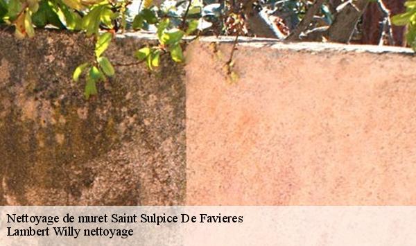 Nettoyage de muret  saint-sulpice-de-favieres-91910 Lambert Willy nettoyage