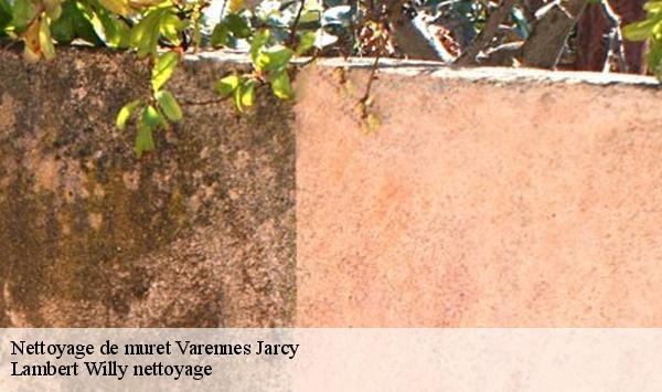 Nettoyage de muret  varennes-jarcy-91480 Lambert Willy nettoyage