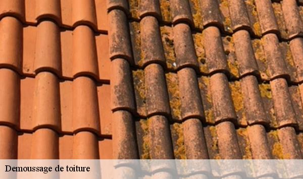 Demoussage de toiture  fontenay-le-vicomte-91540 Lambert Willy nettoyage