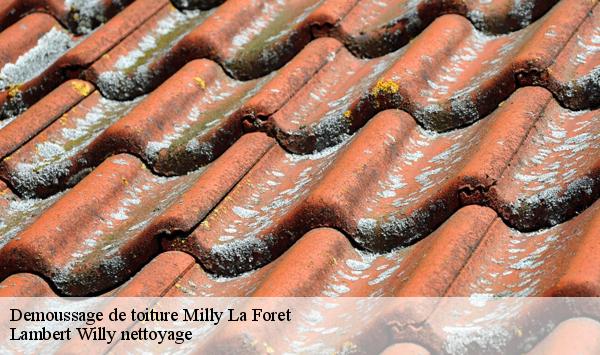 Demoussage de toiture  milly-la-foret-91490 Lambert Willy nettoyage