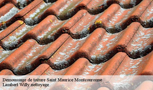 Demoussage de toiture  saint-maurice-montcouronne-91530 Lambert Willy nettoyage