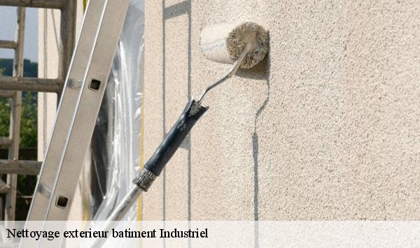 Nettoyage exterieur batiment Industriel   puiselet-le-marais-91150 Lambert Willy nettoyage