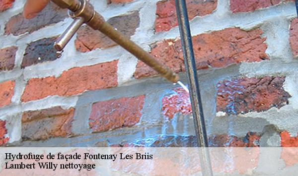 Hydrofuge de façade  fontenay-les-briis-91640 Lambert Willy nettoyage