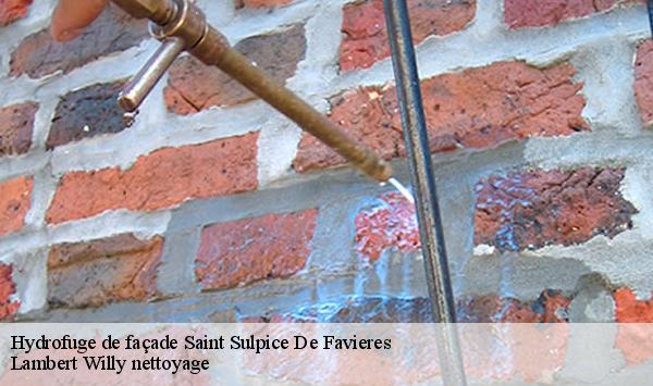 Hydrofuge de façade  saint-sulpice-de-favieres-91910 Lambert Willy nettoyage