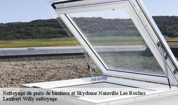 Nettoyage de puits de lumlière et Skydome  nainville-les-roches-91750 Lambert Willy nettoyage